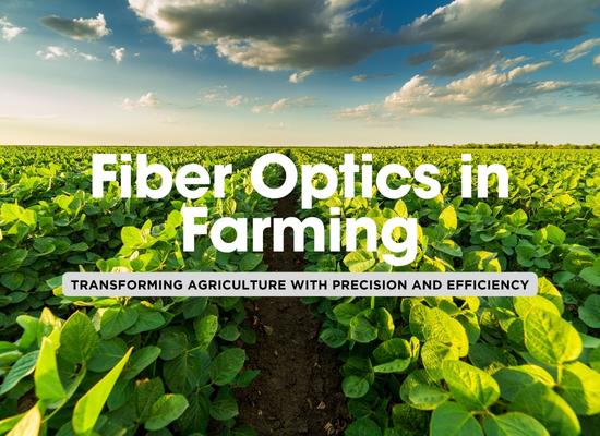 Harnessing Fiber Optics for Precision Agriculture: Enhancing Crop Monitoring and Yield 🌱📡